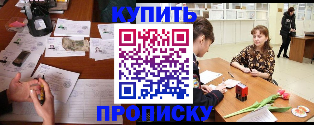 купить прописку в Шлиссельбурге
